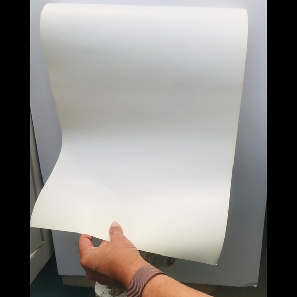 NWOT LITHOGRAPH Michelangelo “Moses” - Picture 7 of 7